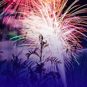 Comment fonctionne un feu d'artifice ?