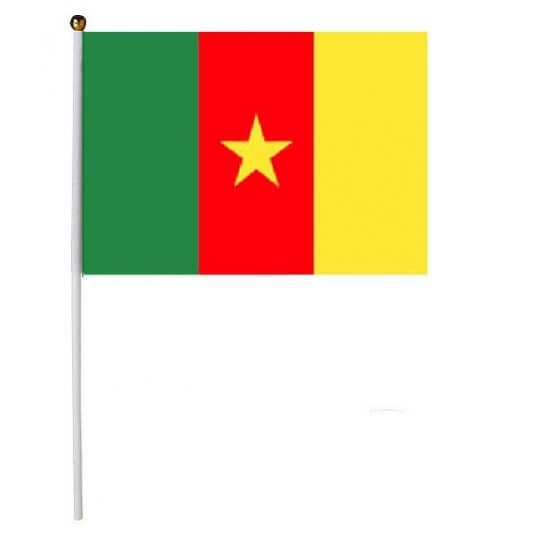 Drapeau Cameroun 30 x 45 cm avec Baguette