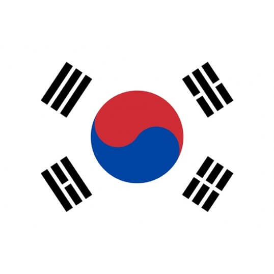 Drapeau Corée du Sud 90 x 150 cm