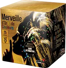 Feu d'Artifice Compact POUDRE AUX YEUX® - 25 SHOTS - 25 secondes
