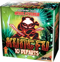 Feu d'Artifice Compact KUNG-FU® - 10 SHOTS - 12 secondes
