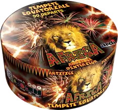 Feu d'Artifice Compact TEMPÊTE® ÉQUATORIALE - 90 SHOTS - 35 secondes