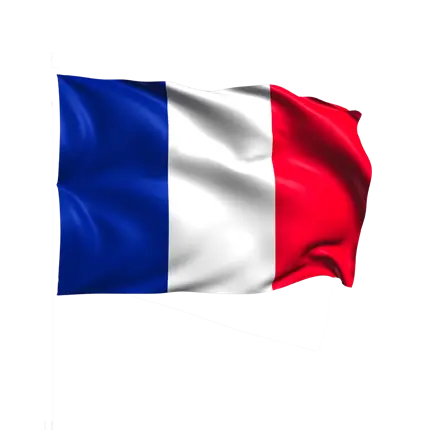 Drapeau France Tricolore 60x90cm