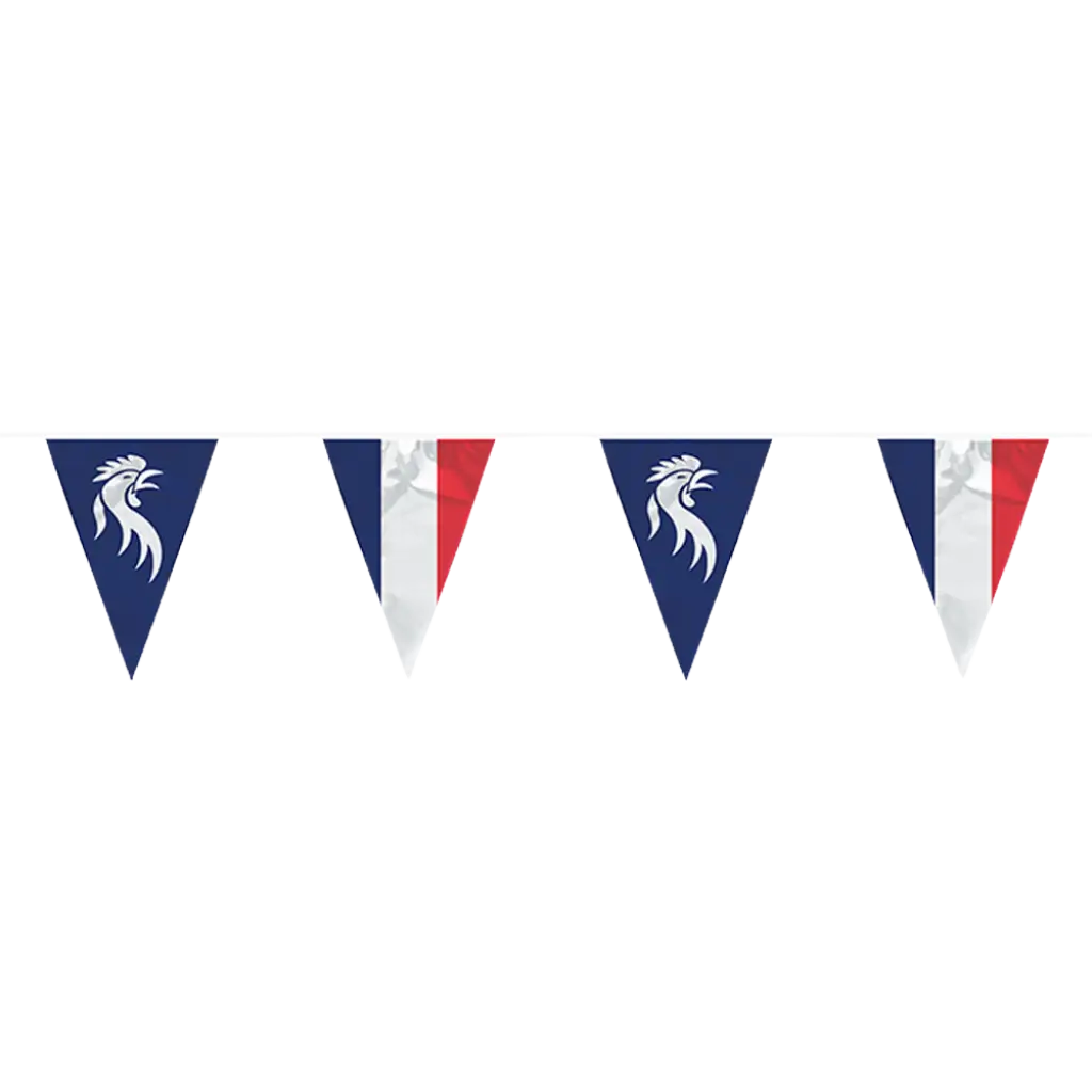 Guirlande de fanions "Allez les Bleus"