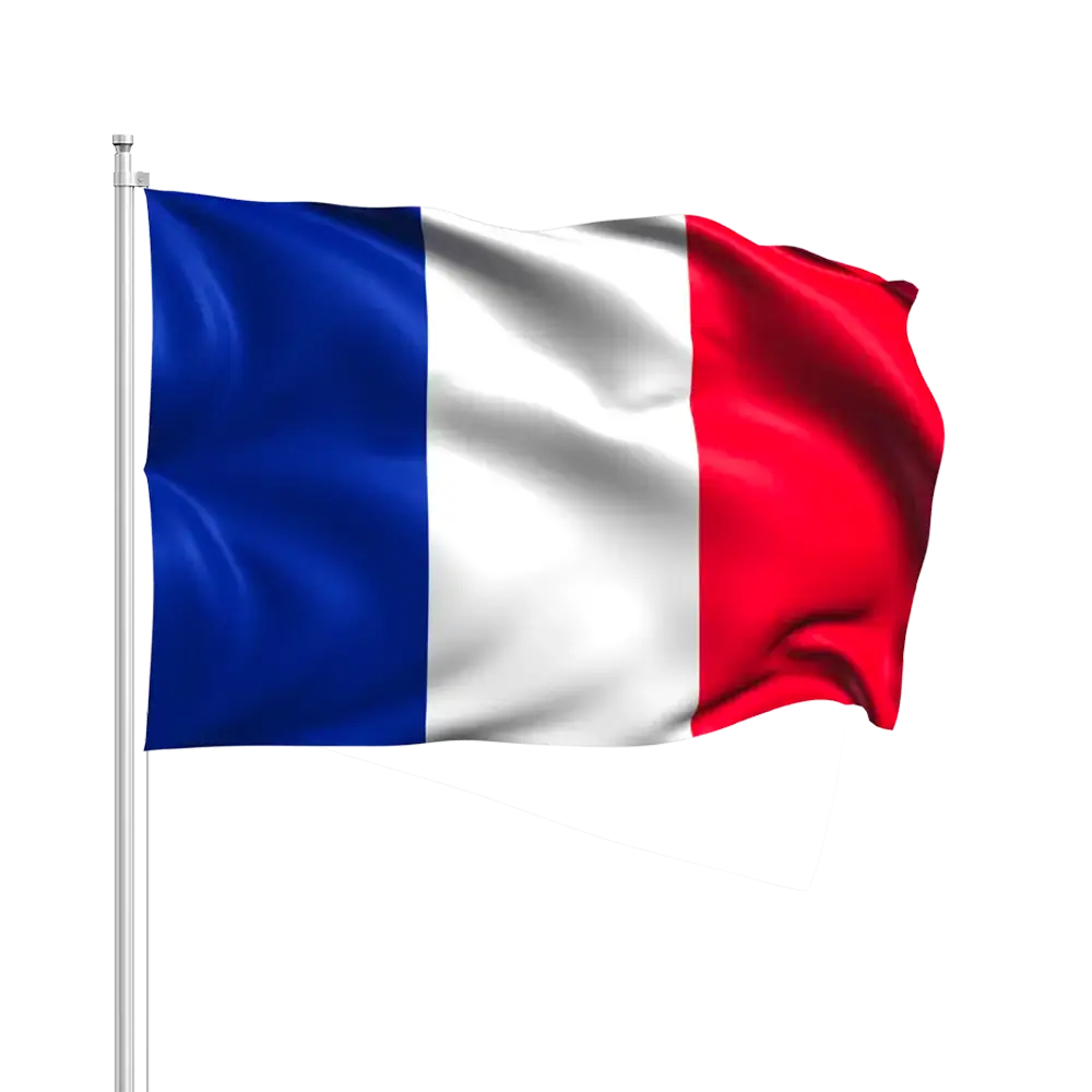 Drapeaux France avec Baguette 14x21cm