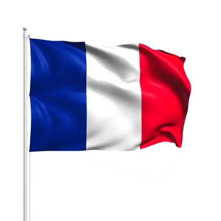Drapeaux France avec Baguette 14x21cm
